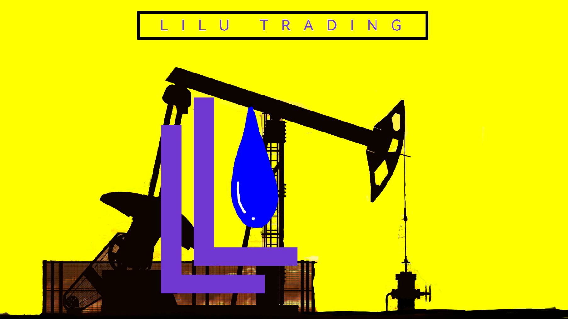 Xi 'an Lilu Trading Co., LTD